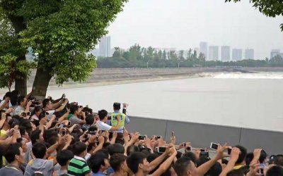 ​浙江杭州钱塘江大潮来临，见证天下第一奇观；现场观潮人山人海