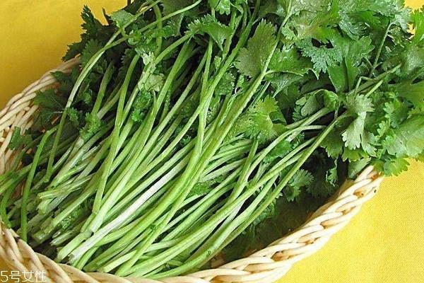 香菜为什么不能乱吃 禁忌多多