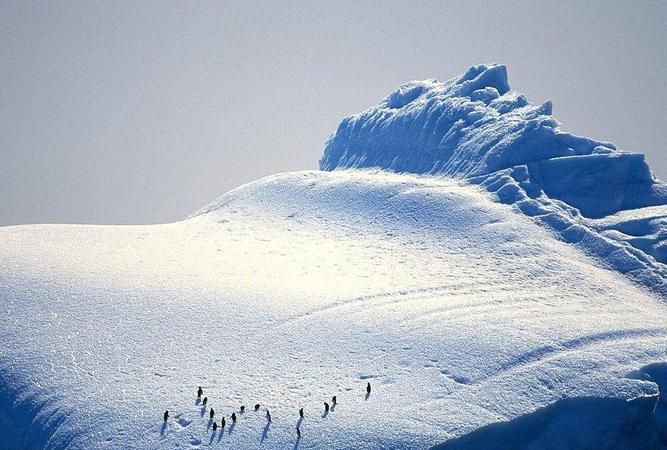 南极洲是一个什么