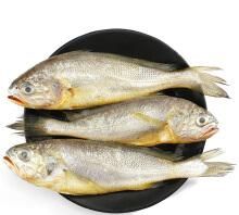 黄花鱼是海鱼吗