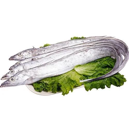 黄花鱼是海鱼吗，黄花鱼是海鱼吗？图5