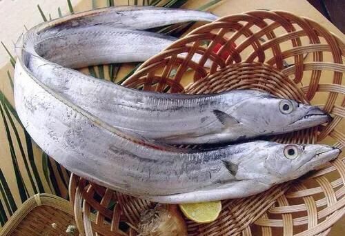 黄花鱼是海鱼吗，黄花鱼是海鱼吗？图4