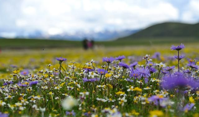 可可托海离伊犁有多远，可可托海到伊犁多少公里？图4