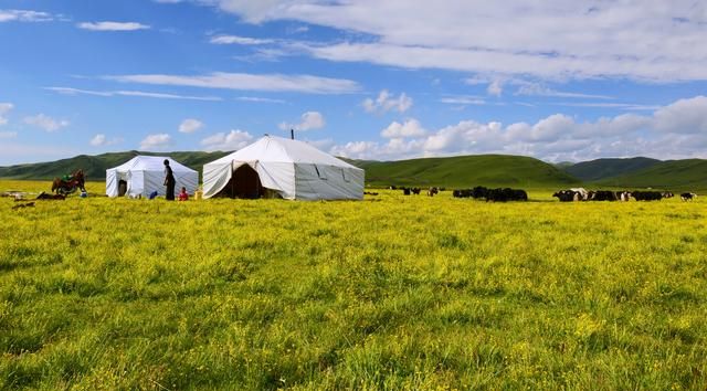 可可托海离伊犁有多远，可可托海到伊犁多少公里？图5