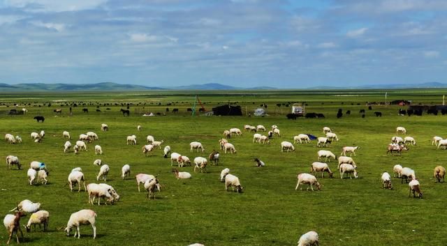 可可托海离伊犁有多远，可可托海到伊犁多少公里？图6