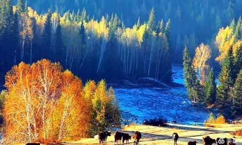 可可托海到伊犁多少公里