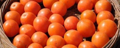 ​柿子和甘蔗可以一起吃吗 柿子跟甘蔗可以一起吃吗