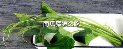 ​南瓜藤怎么吃