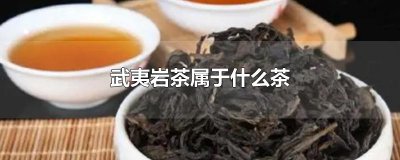 ​武夷岩茶属于什么茶