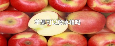 ​苹果可以放冰箱吗