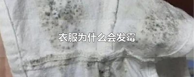 ​衣服为什么会发霉