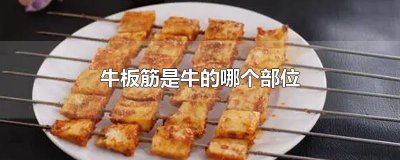 ​牛板筋是牛的哪个部位