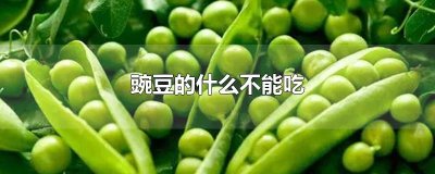 ​豌豆的什么不能吃