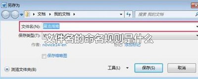 ​文件名的命名规则是什么