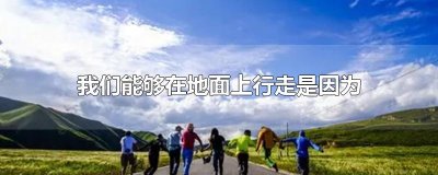 ​我们能够在地面上行走是因为