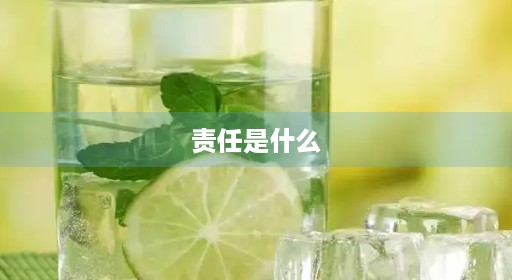 责任是什么