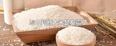 ​怎么判断大米是发霉了