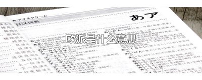 ​欧派是什么意思