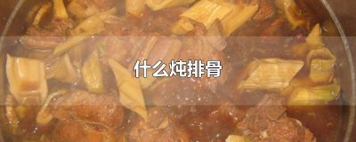 ​什么炖排骨