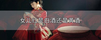 ​女儿红白酒和黄酒是啥关系 女儿红和黄酒有什么区别