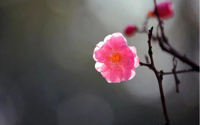 ​6条有趣的历史冷知识，知道了可以在饭桌上吹嘘