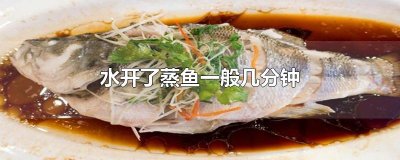 ​水开了蒸鱼一般几分钟