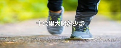 ​十公里大概多少步
