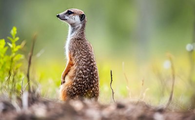 张国荣死后灵异事件(张国荣死亡真相令人毛骨悚然)