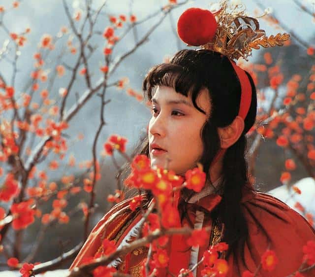 贾宝玉的通灵宝玉上镌刻着哪几个字（贾宝玉的玉）