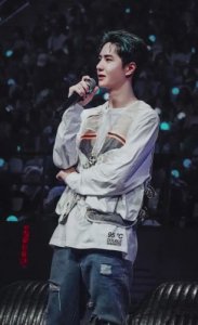 ​魅力的意思是什么解释(彰显魅力的意思)