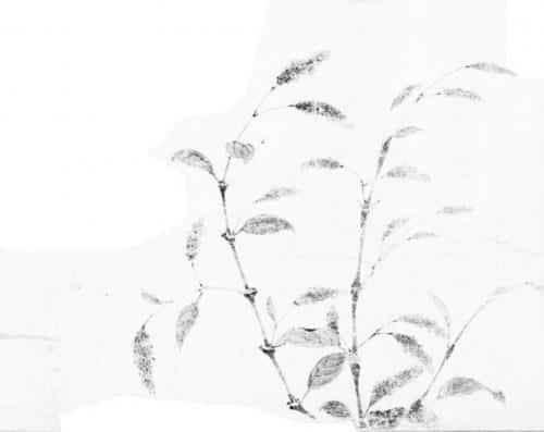 垂帘听政是从什么时候开始的（垂帘听政始于何时）