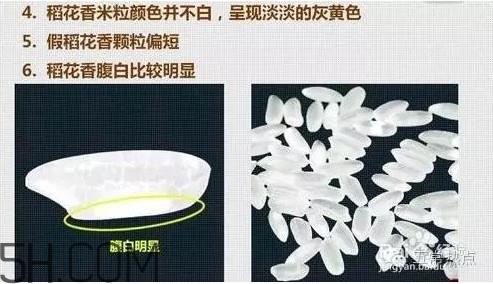 五常大米怎么辨别真假？五常大米和普通米的区别