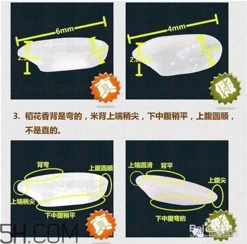 五常大米怎么辨别真假？五常大米和普通米的区别