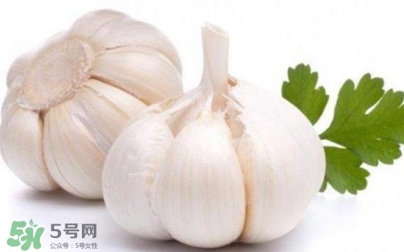 蒜头怎么腌制好吃？腌制咸蒜的正确方法