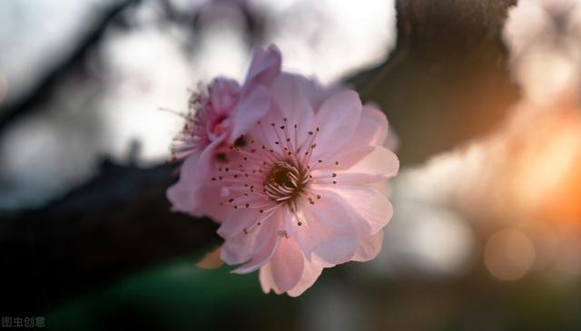 人生最现实的句子（人生情感语录）(3)