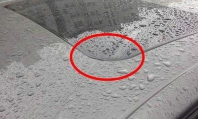 ​天窗漏水怎么办3分钟教你解决