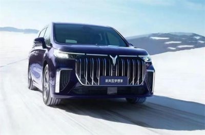 ​岚图CEO回应单独考核政策：有利于我们放开手脚 提高市占率