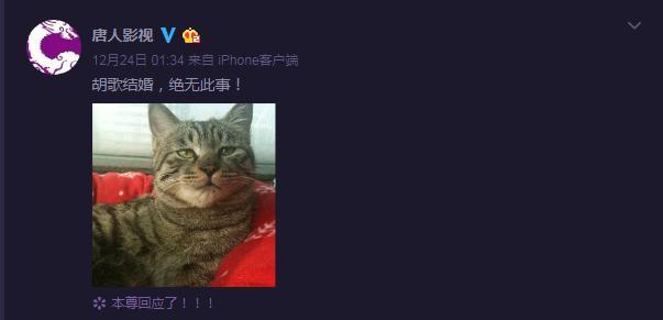 婚庆公司否认承办胡歌婚礼，这次结婚对象版本有点多