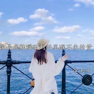 你是我触碰不到的风醒不来的梦什么歌（你是我触碰不到的风醒不来的梦歌名介绍）