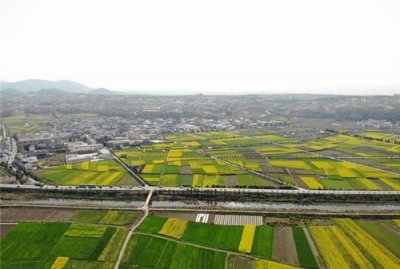 ​汉中平原面积有多大,汉中平原面积有多大