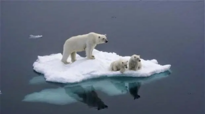 气候变暖的原因,全球气候变暖的主要原因是什么