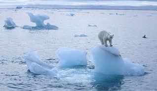 全球气候变暖的原因是什么