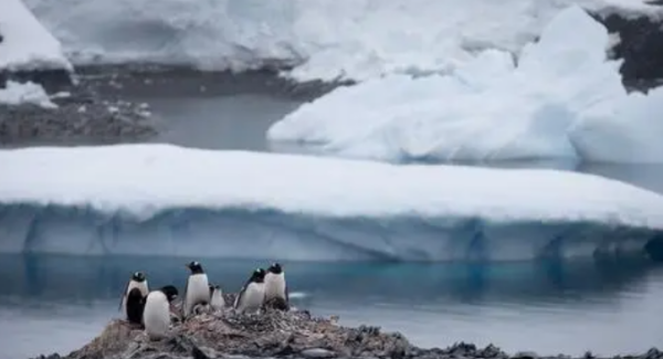 气候变暖的原因,全球气候变暖的主要原因是什么图2