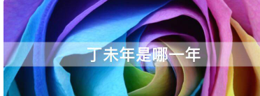 丁未年是哪一年,丁未年是哪一年图4