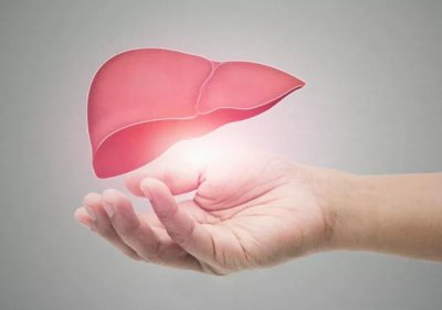 全国护肝日是每年的哪一天(全国爱肝日心肝宝贝)