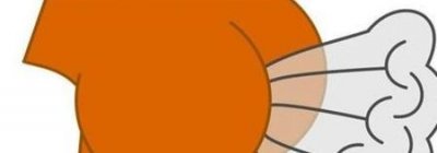 ​孕妇为什么总放屁(一直放屁是不是怀孕的征兆)