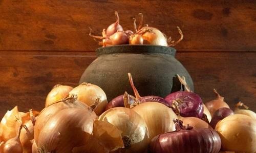 ,洋葱能除甲醛吗