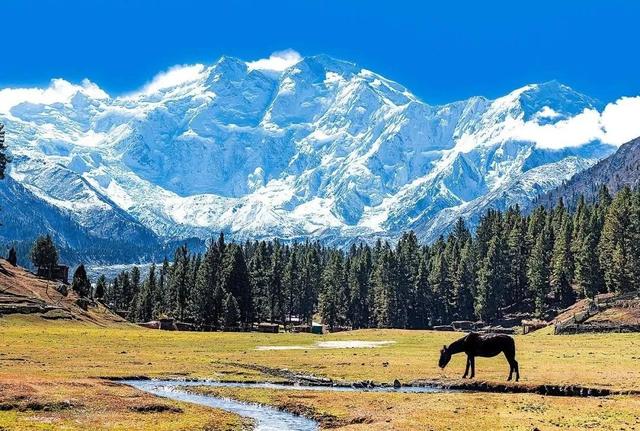 喜马拉雅山峰最新高度(10座8000米高峰汇聚于此)(6)