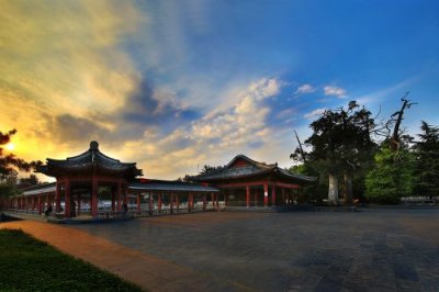 ​东家夫子指什么生肖(东家夫子是什么意思)