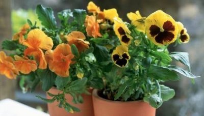 净水设备要多少钱?全屋净水器多少钱